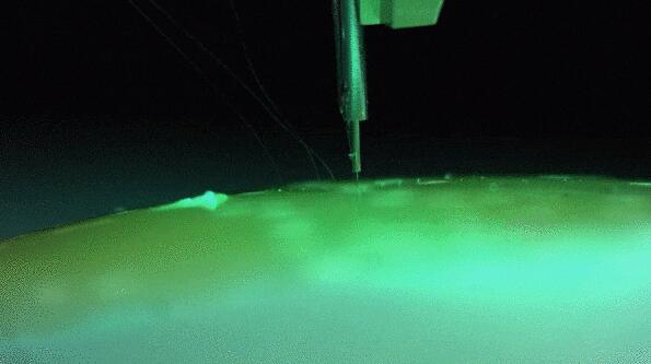 中国「意念购」技术挑战马斯克脑机接口！网友：剁手升级砍头了