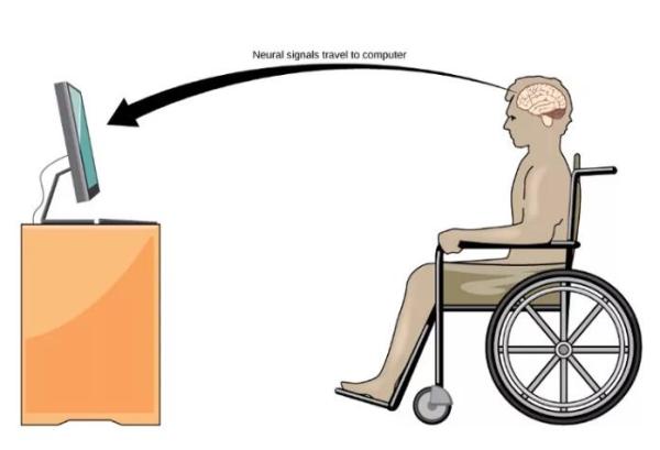 中国「意念购」技术挑战马斯克脑机接口！网友：剁手升级砍头了