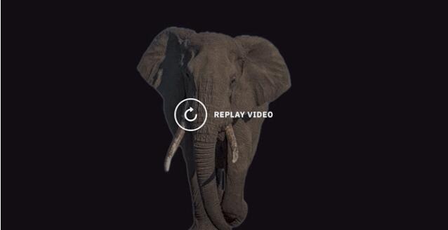 人人可用的在线抠图，AI自动化的那种！北大校友算法玩出新高度