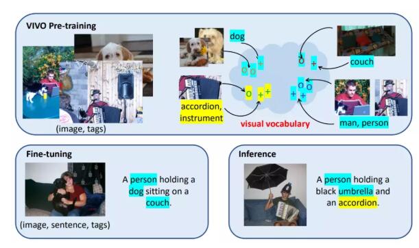 AI看图说话首超人类！微软认知AI团队提出视觉词表预训练超越Transformer