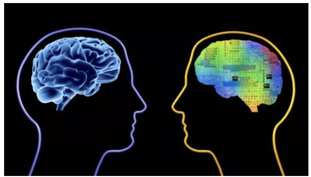 Hinton预言的「AI将拥有常识」如何实现？剑桥最新研究：从小狗学起