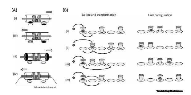 Hinton预言的「AI将拥有常识」如何实现？剑桥最新研究：从小狗学起