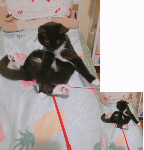 打马赛克就安全了吗？AI消除马赛克，上线三天收获近7000星