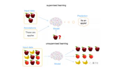 MIT博士生、北大校友，利用自监督算法，解决了数据集中这一常见的“难题”