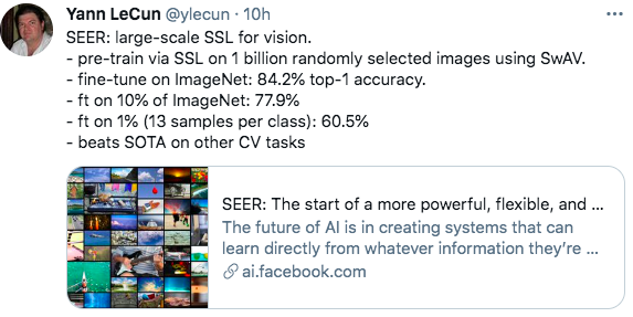 Facebook新AI模型SEER实现自监督学习，LeCun大赞最有前途