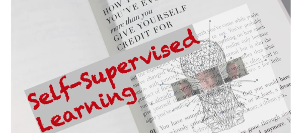 Facebook新AI模型SEER实现自监督学习，LeCun大赞最有前途