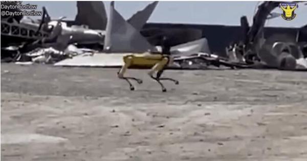 黑镜狗再现！波士顿动力「大黄狗」上岗SpaceX勘察爆炸现场