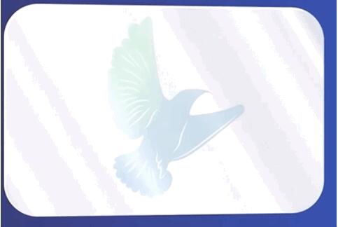 手机1秒生成3D全息图，MIT团队新作