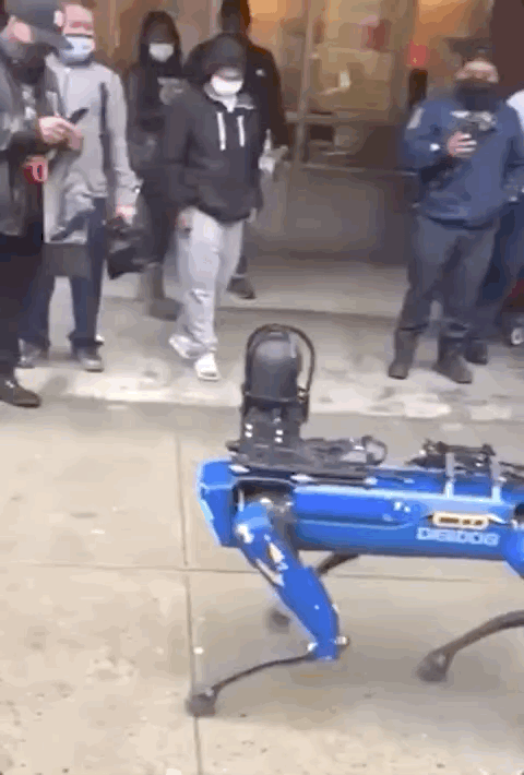 波士顿动力机器狗化身警犬入宅执法，网友：不想生活在《黑镜》里