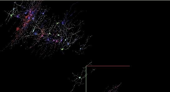 谷歌发布史上超强人类大脑「地图」，在线可视3D神经元「森林」