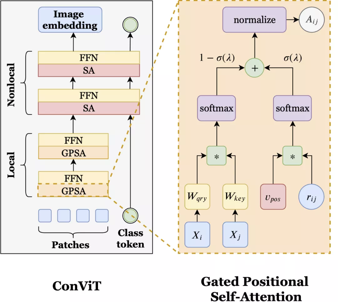 Facebook提出融合CNNTransformer优势的灵活使用归纳偏置的ConViT
