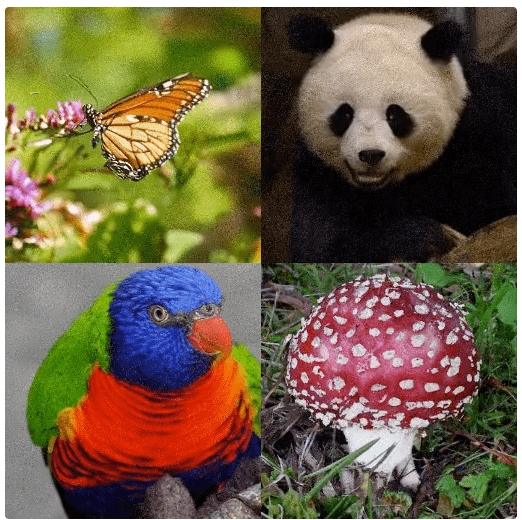 图像生成王者不是GAN？扩散模型最近有点火，效果直达SOTA